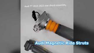 Audi TT A3 S3 RS3 Manyetik Sürüş Destekleri