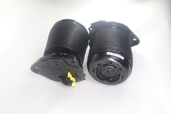 Lexus RX270 RX350 RX450H 2009-2015 için Arka Sol / Sağ Hava Asılılığı Bahar Çantaları 4808048090 48090-48090
