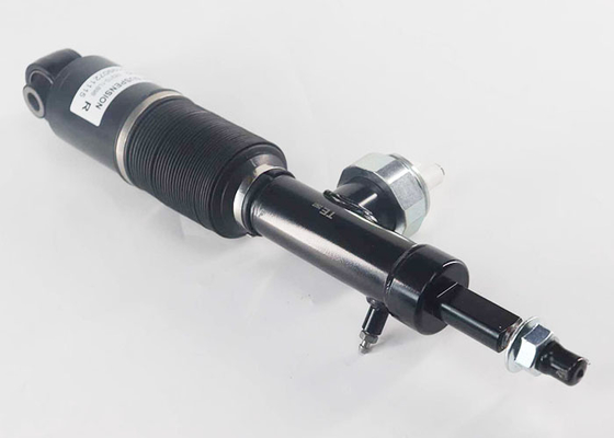 E6211-6JF9A E6210-6JF9A Arka Hidrolik Amortisörler Sol Sağ Nissan Patrol VI Y62 AWD 2010-2023 için