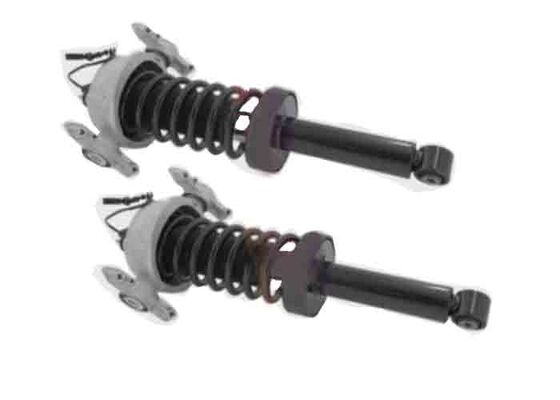 7P6513029AS 7P6513029BC Arka Şok emici Strut Assys w/PASM Porsche Cayenne 958 92A VW Touareg 2011-2018 için.